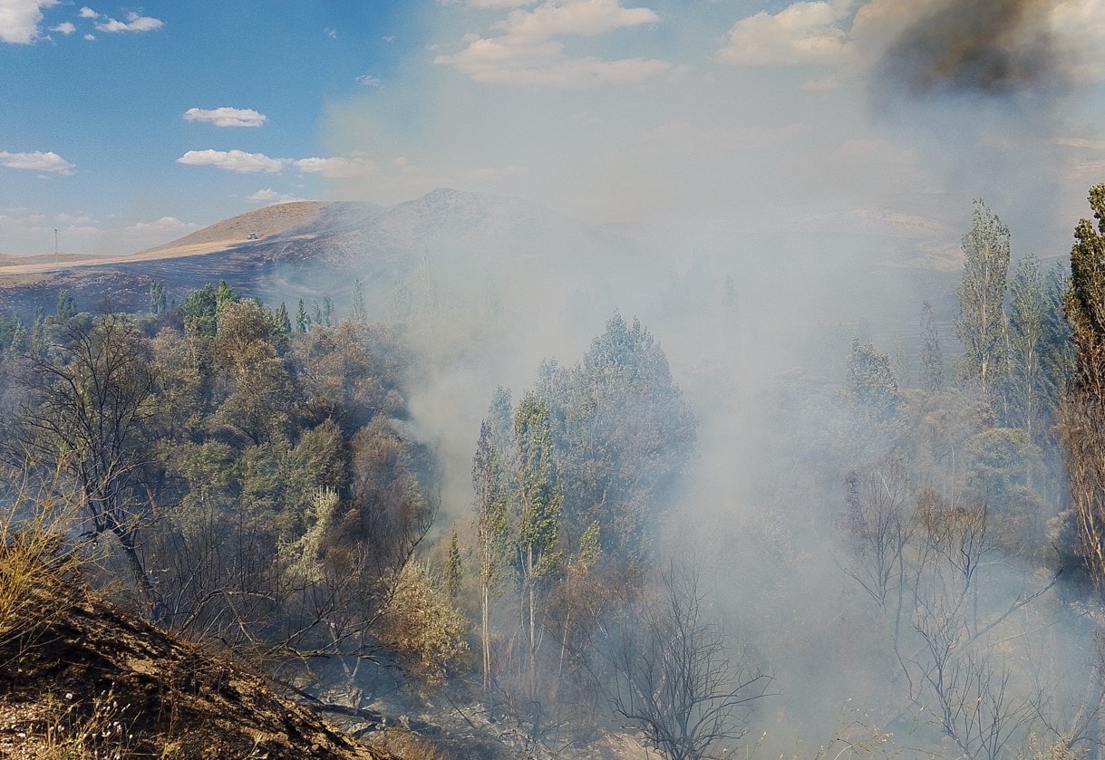 Orman yangınına müdahale eden dozer operatörü öldü