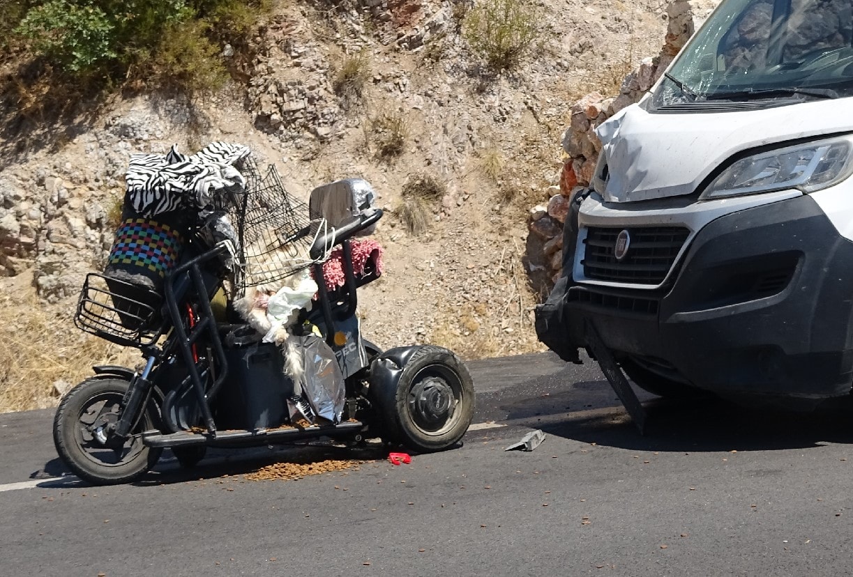 Sokak hayvanlarına mama götürürken minibüsün altında can verdi