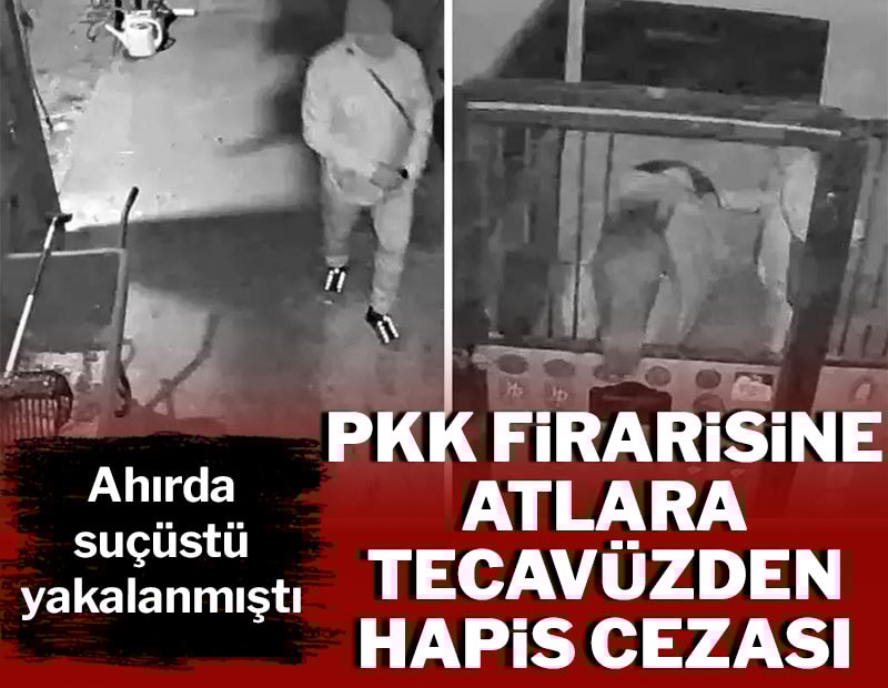 PKK'lı firariye atlara tecavüzden hapis cezası