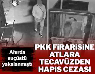 PKK'lı firariye atlara tecavüzden hapis cezası