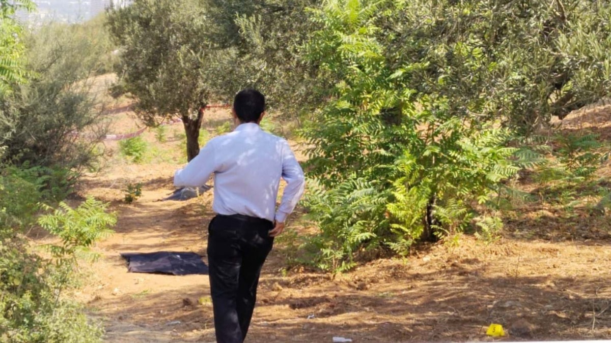 Zeytinlikte aile katliamı: Bir baba 4 evladından 3'ünü öldürdü