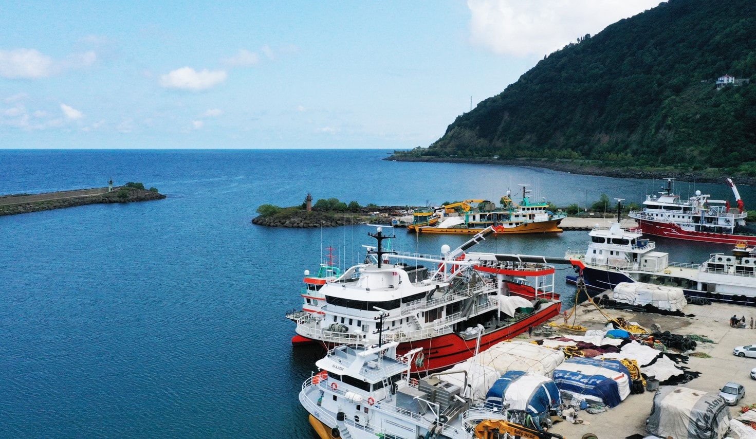 Balıkçılar palamuttan umutlu, hamsiden umutsuz