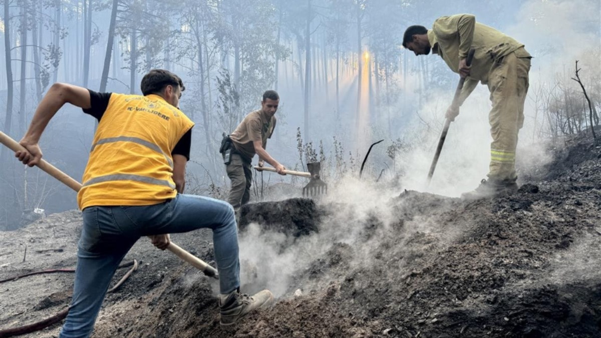Türkiye'nin farklı kentlerinde orman yangınları sürüyor