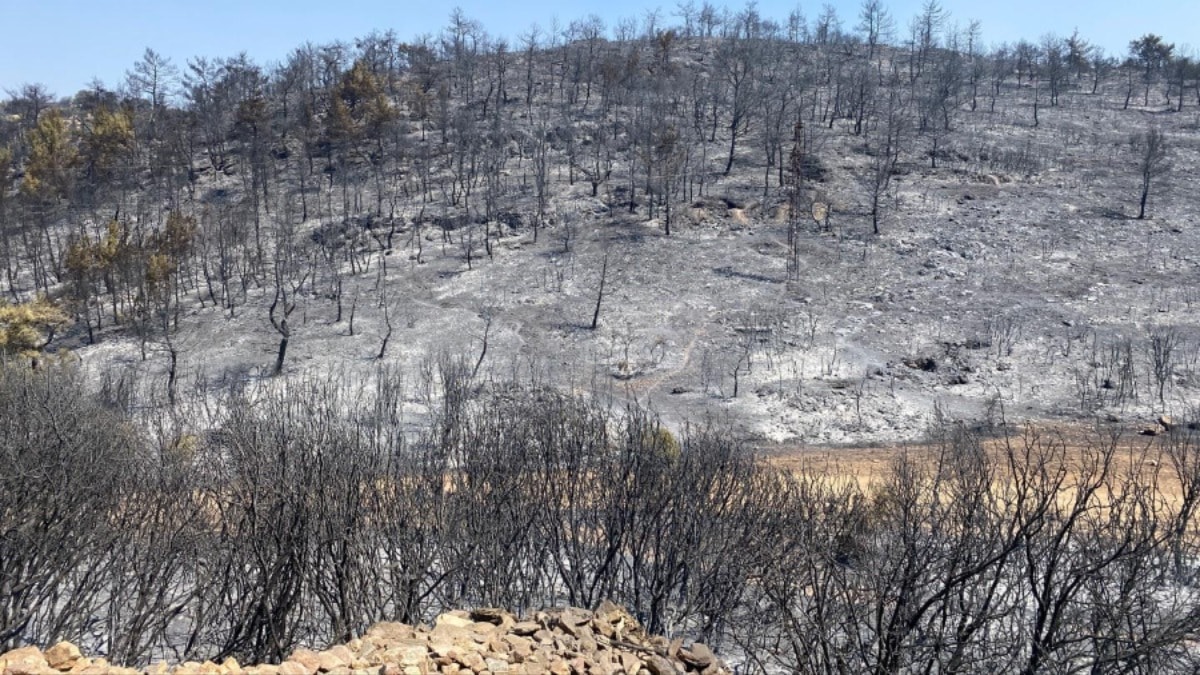 Manisa'da yangın 6. gününde: Alevlerle mücadele sürüyor