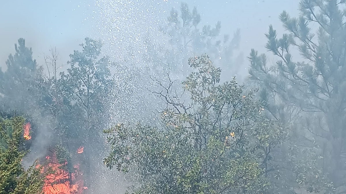 Üç şehirde orman yangını