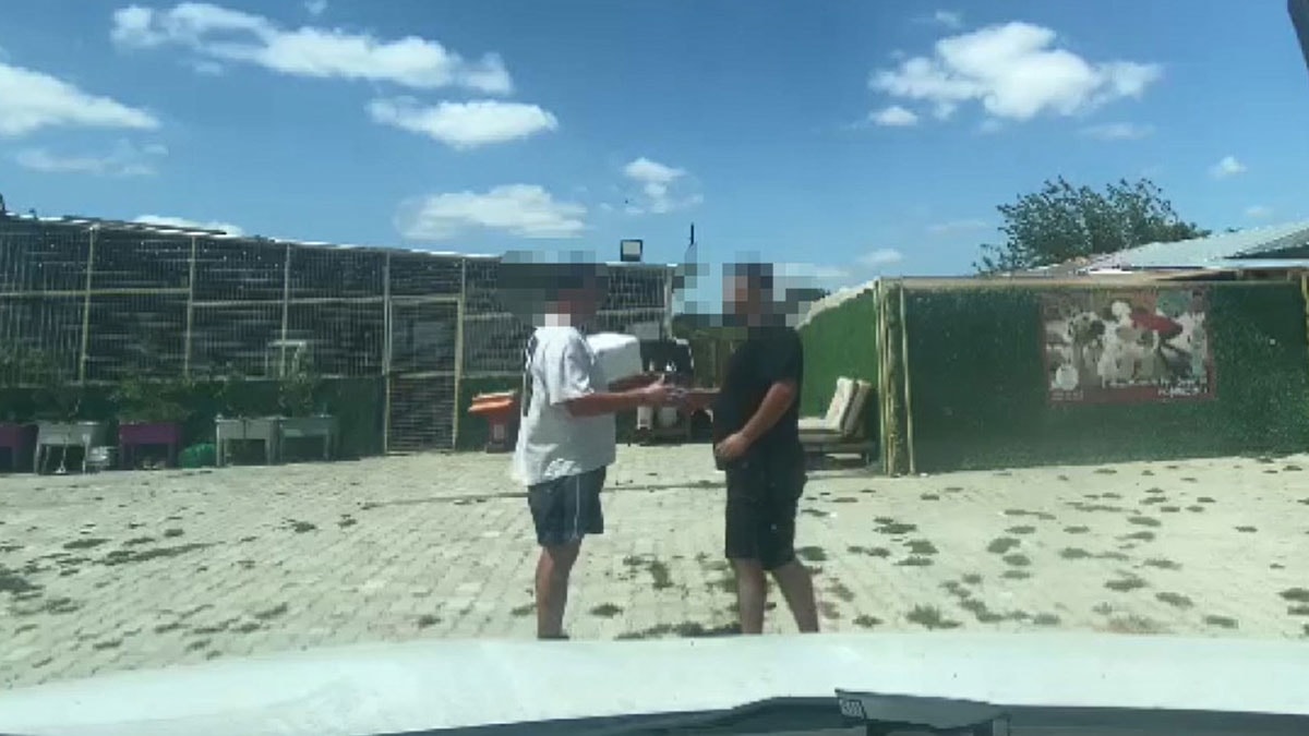 Sokak hayvanı derneği açıp köpekleri sattılar