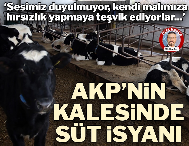 Süt üreticisi AKP'nin kalesinde isyan etti