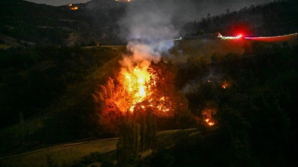 Uşak'taki orman yangınına müdahale sürüyor