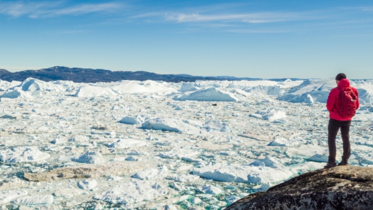 Buzul fiyordu nedir?