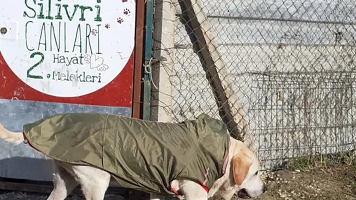 Can dostları üzerinden vurgun: 30 milyon lira toplanmış - Sözcü