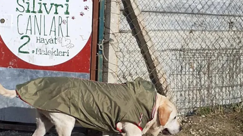 Can dostları üzerinden vurgun: 30 milyon lira toplanmış - Sözcü