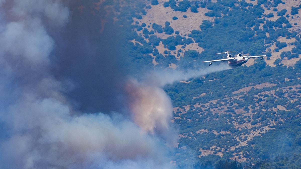 48 saatte iki bin 134 sorti