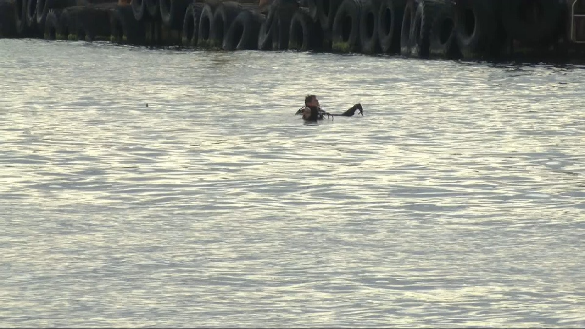 İstanbul'da genç kadın denize düştü: Ekipler arıyor