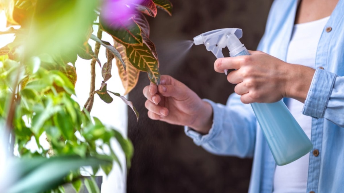 Çiçek yetiştirmenin psikolojik faydaları nelerdir?