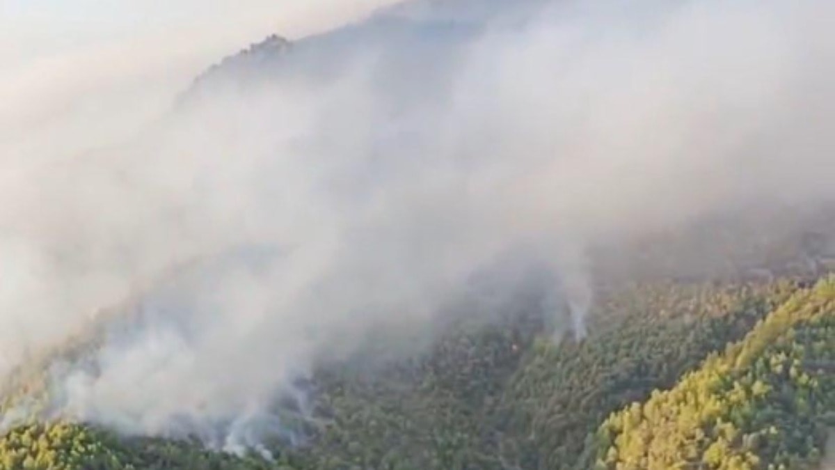 Manisa ve Uşak'taki yangınlar kontrol altına alındı