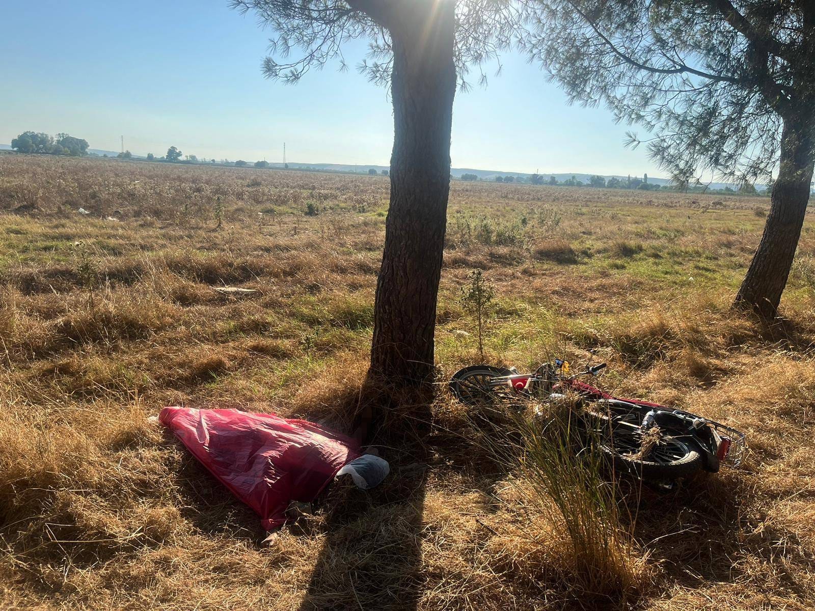 Ağaca çarpan motosikletin sürücüsünün feci ölümü