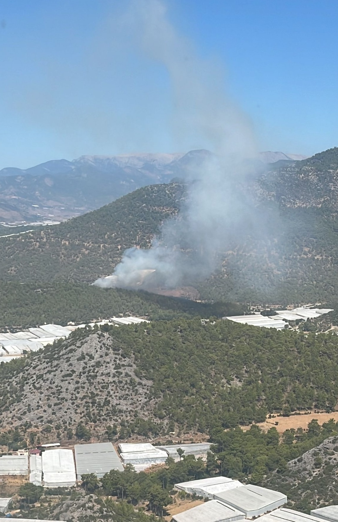 Mersin'de orman yangını... Havadan karadan müdahale başladı