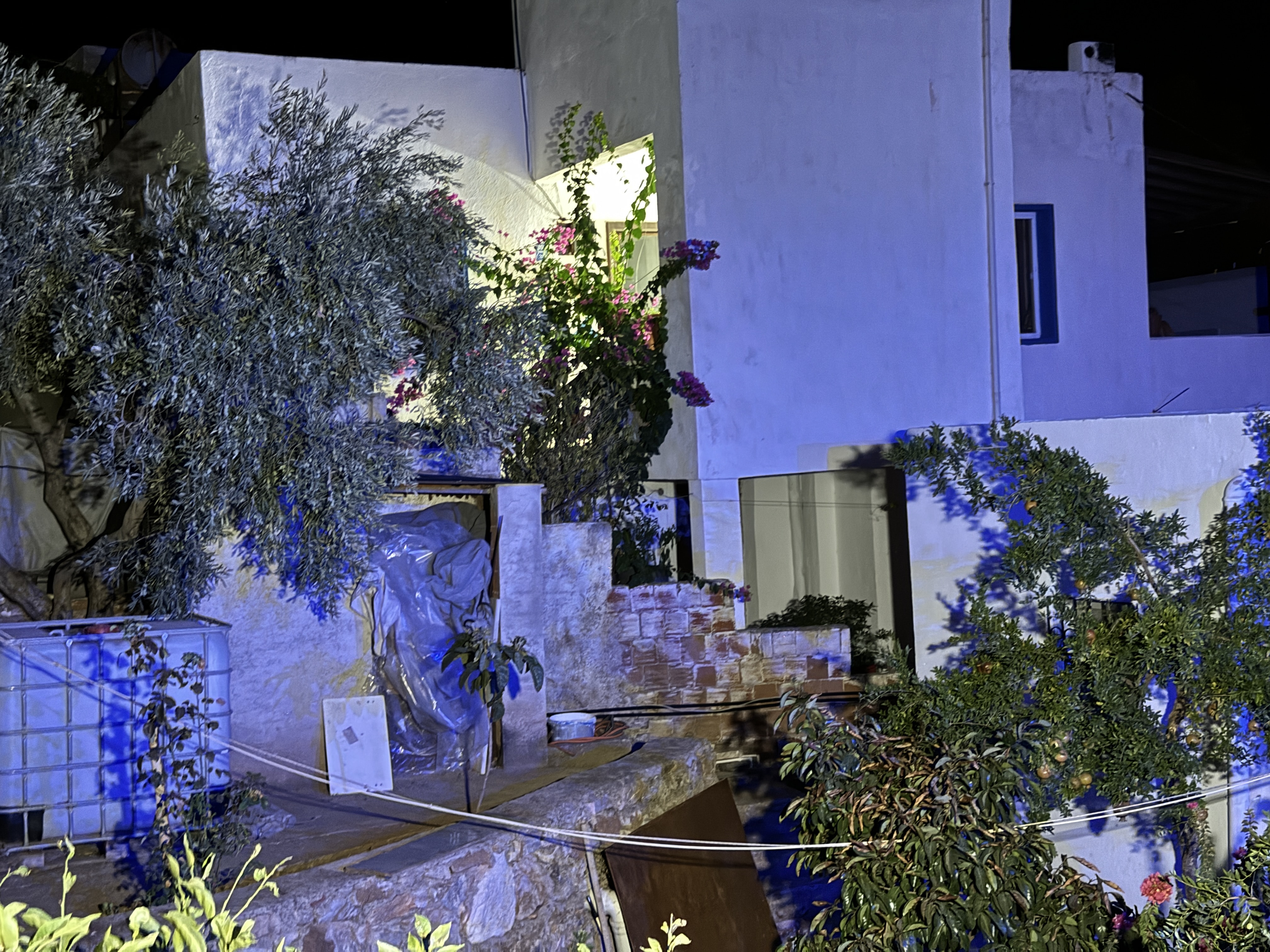 Kurşun yağmuruna tutmuşlar... Bodrum'da iki kişi ölü bulundu