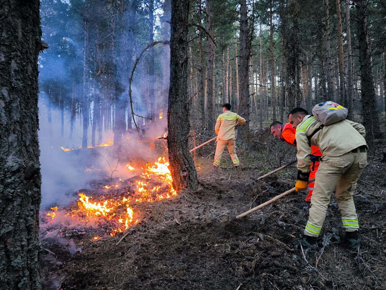 Ankara'dan Bolu'ya sıçrayan yangın Gerede'de yeniden alevlendi