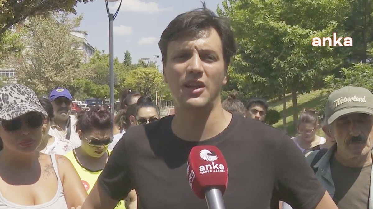 Altındağ'da katledilmiş köpekleri bulan kişi o anları anlattı