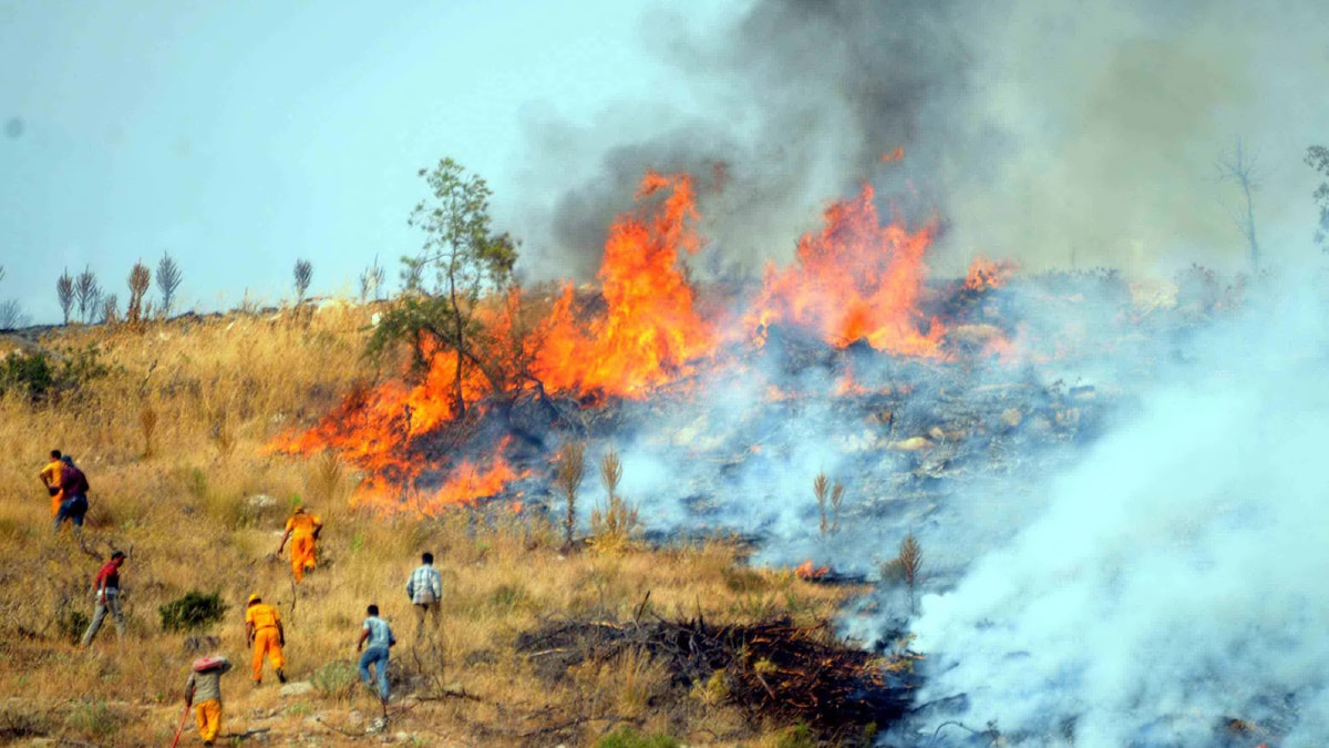 Akyarlar'da korkutan yangın