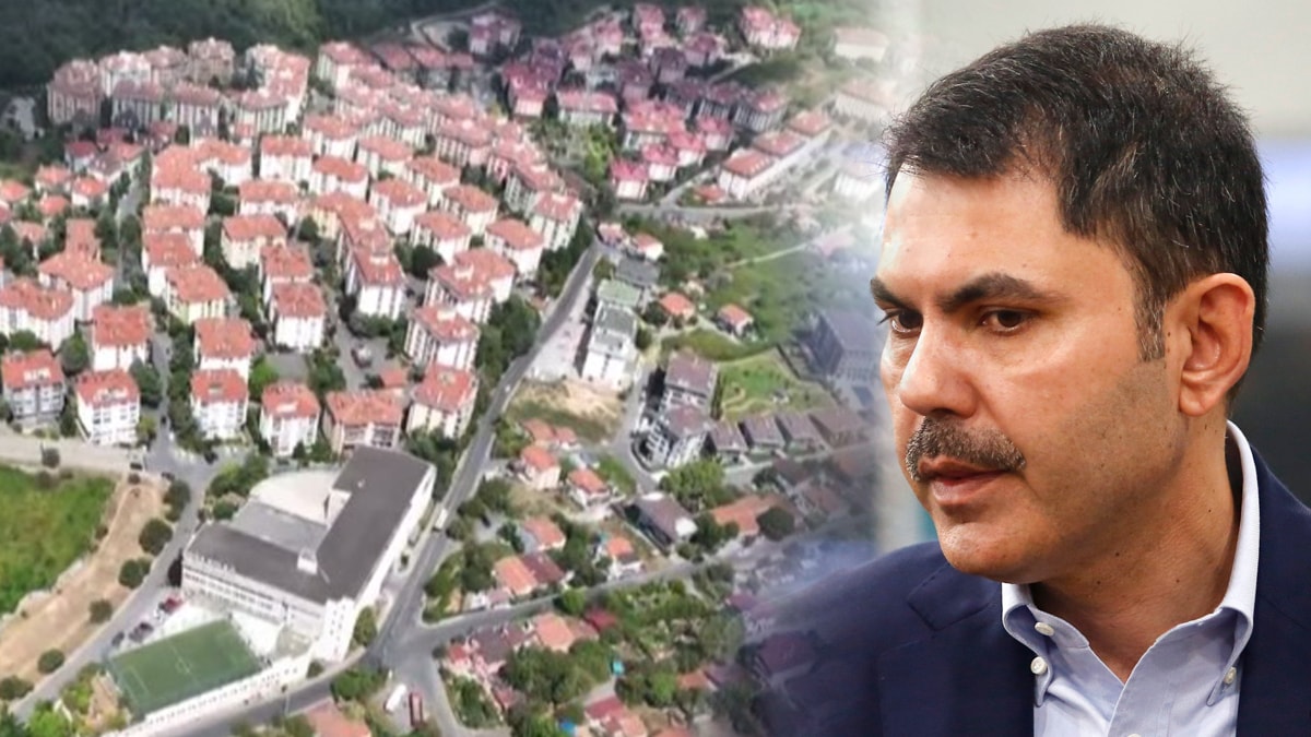 Boğaz'daki kaçağa Kurum'dan onay