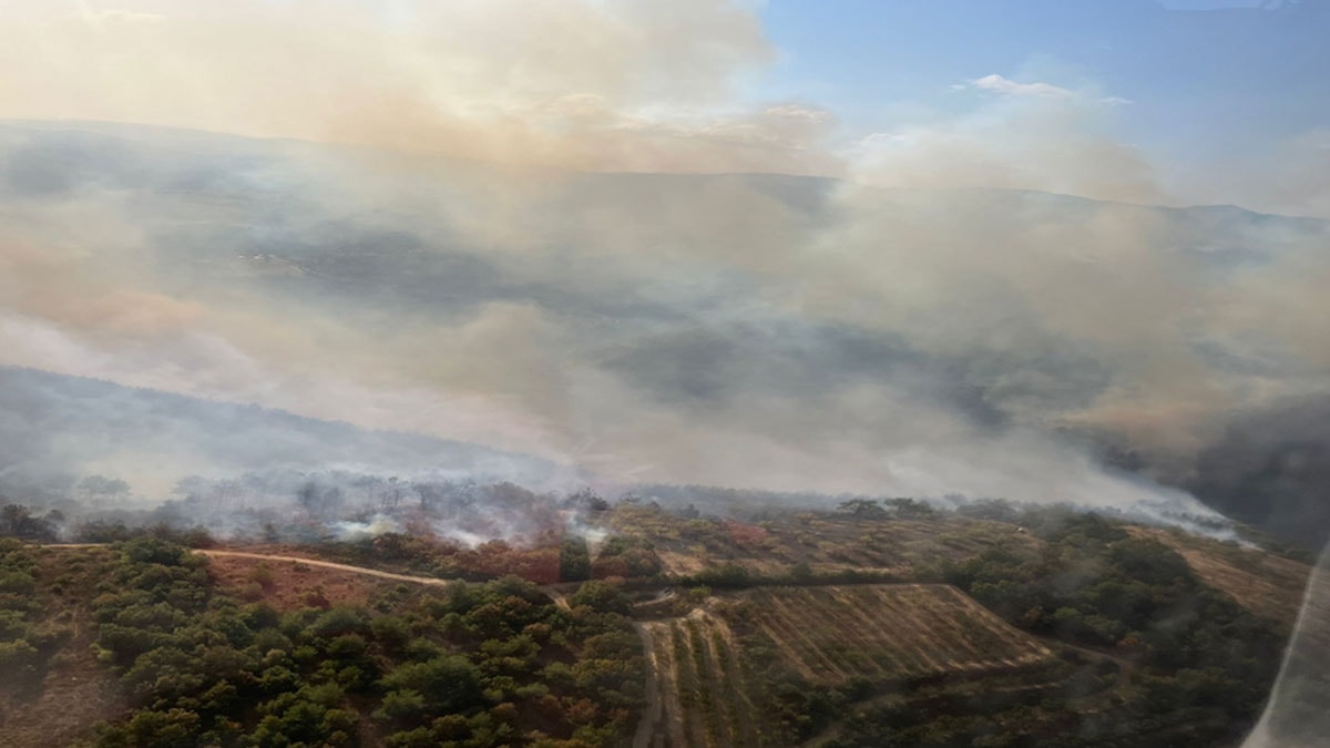 Bursa'da orman yangını... İki gün boyunca alev alev yandı