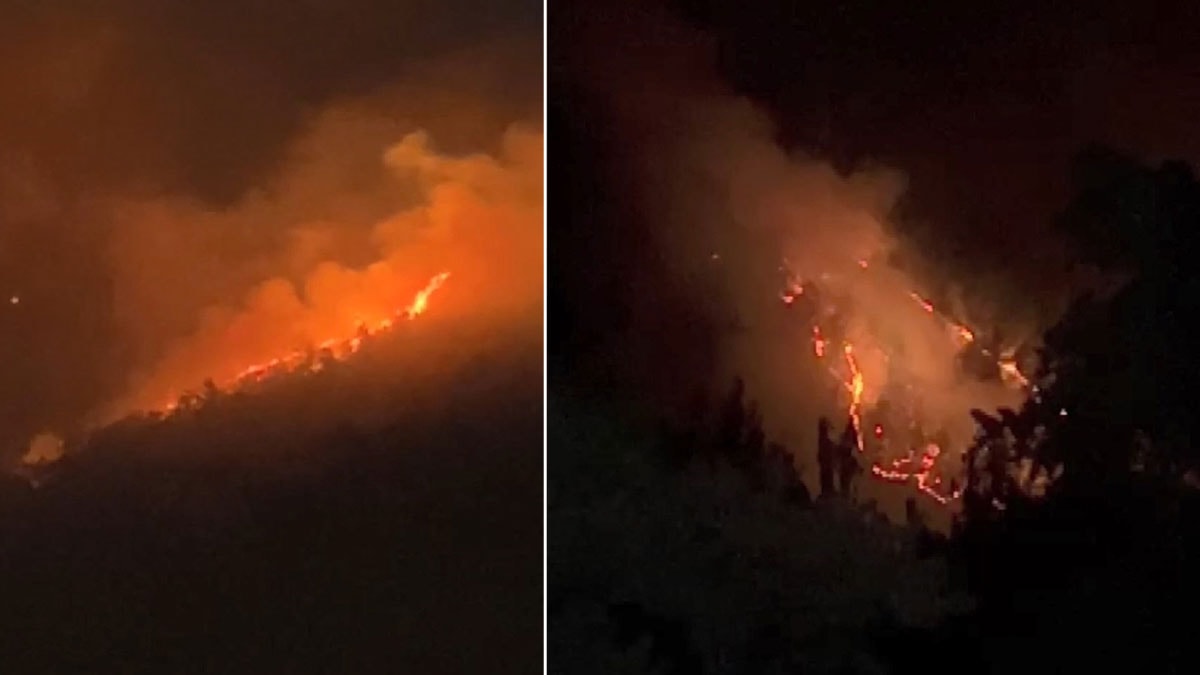 Bursa'daki orman yangını 12 saatte kontrol altına alındı