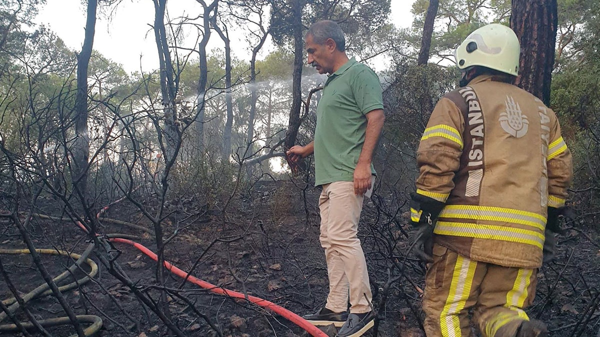Heybeliada'da orman yangını