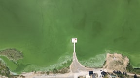 Yeniçağa Gölü renk değiştirdi