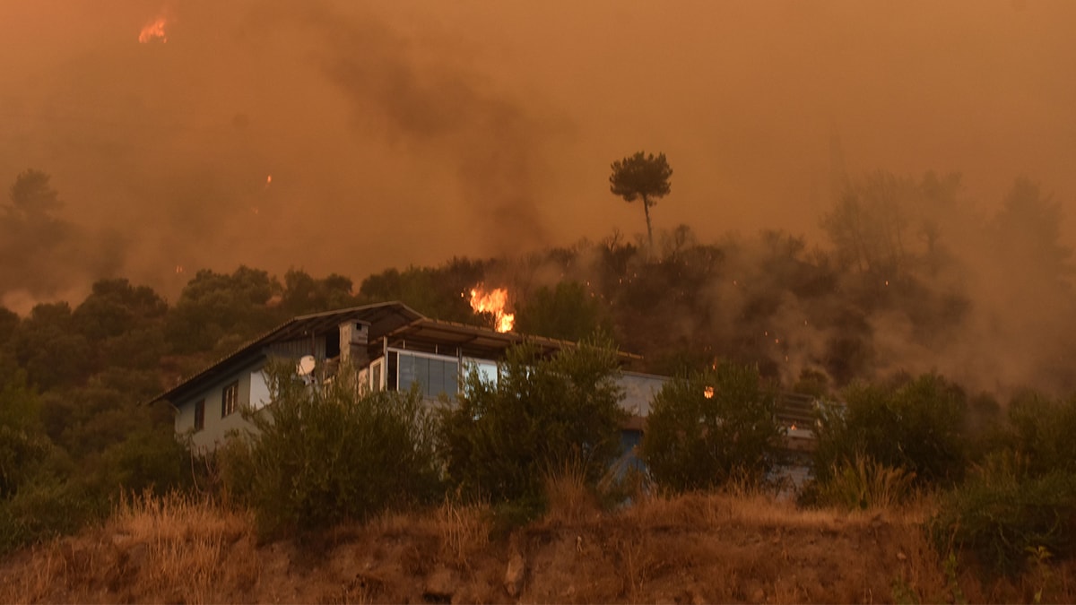 Aydın'da yangın: Evlere sıçradı, tahliye kararı