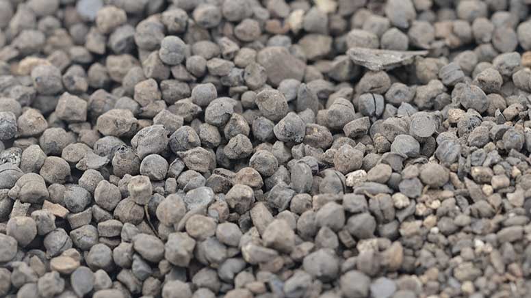 2 bin 800 yıllık nohut, üzüm ve sarımsak taneleri bulundu