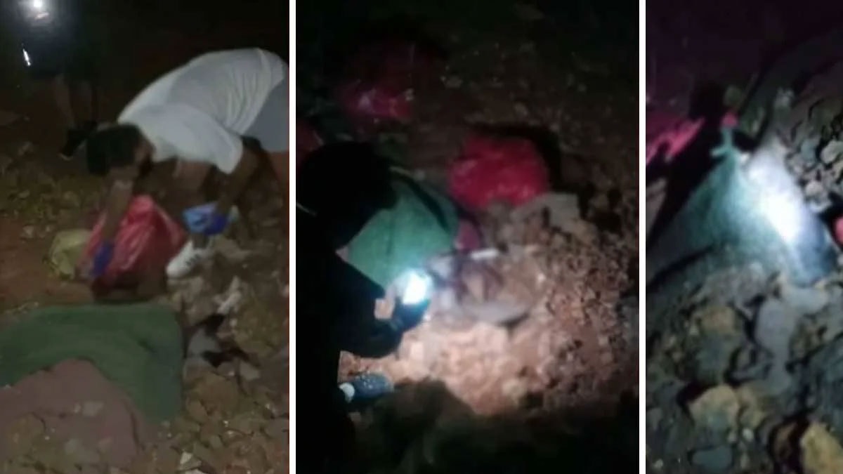 Niğde'den sonra Altındağ! Hayvan katliamında yeni detaylar ortaya çıktı