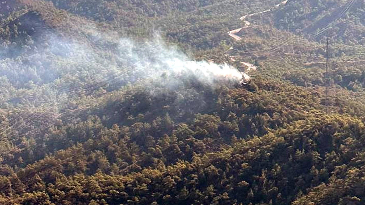 Marmaris'te orman yangını