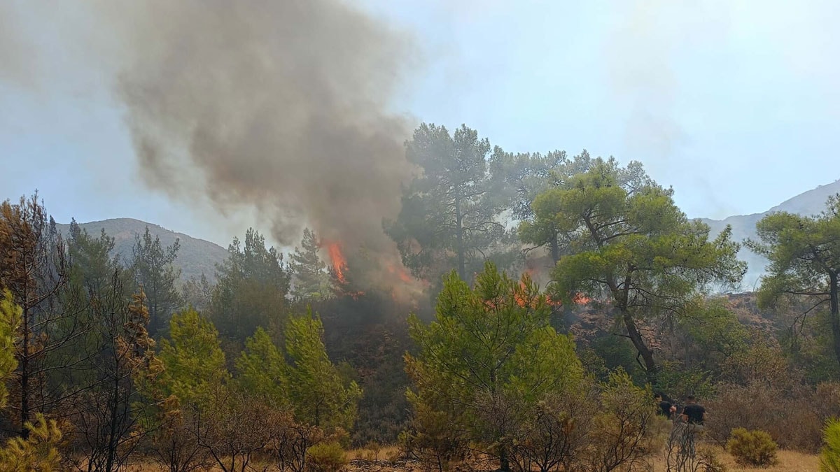 Marmaris’te orman yangını