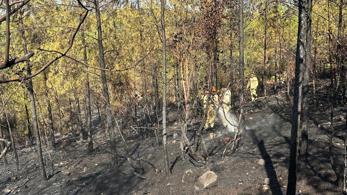 Mersin'de orman yangını kontrol altına alındı