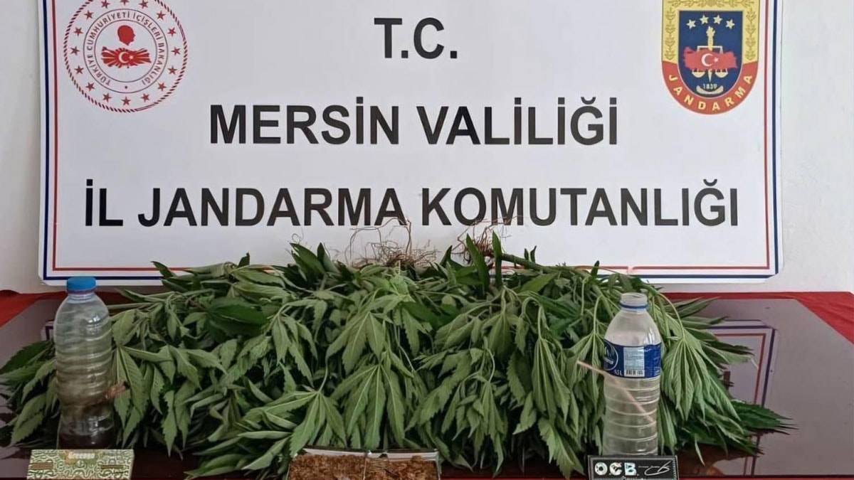 Mersin'de eş zamanlı operasyon: 6 kişi gözaltında