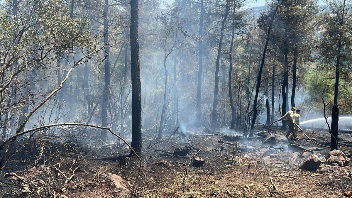 Balıkesir'de çıkan orman yangını kontrol altına alındı