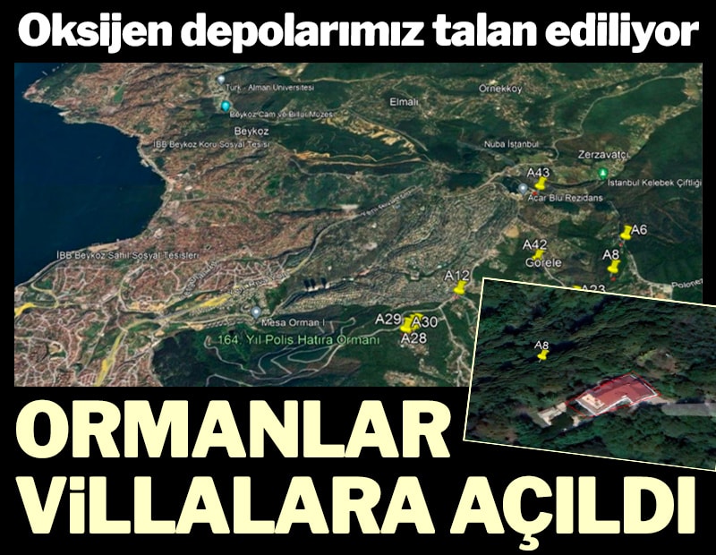 Ormanlar villalara açıldı