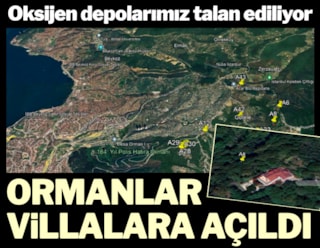 Ormanlar villalara açıldı