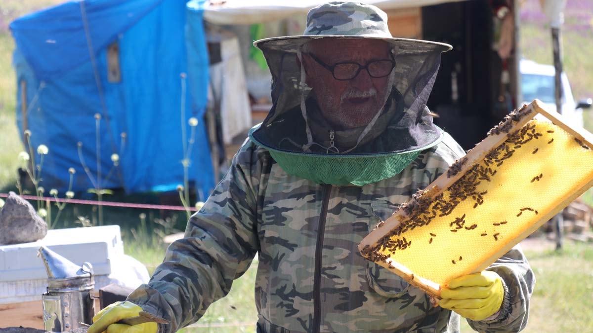 87 yaşındaki gezgin arıcı, sağlığını mesleğine borçlu