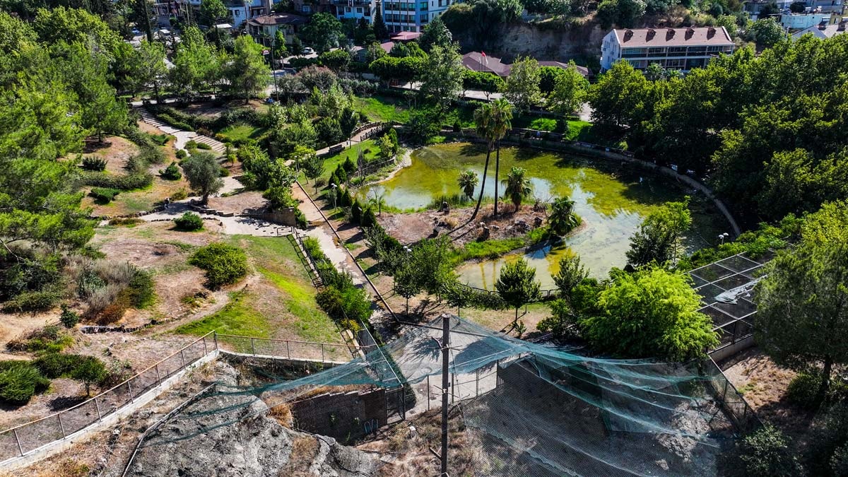 Göçmen kuşların yeni yuvası: Kuş Cenneti