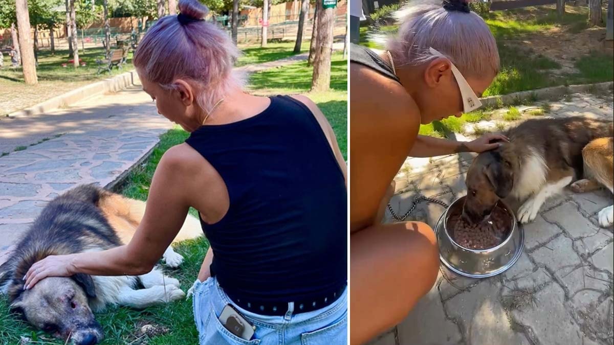 Hande Yener sahiplendiği köpek ile buluştu