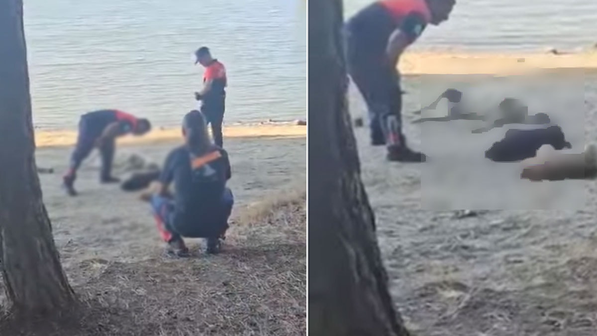 Silivri'de sokak köpekleri zehirlendi: Bölgede et parçaları bulundu, savcılık harekete geçti