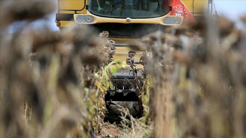 Çiftçiler kuraklıkla boğuşuyor: 'Bulgaristan'dan su istedik vermediler'