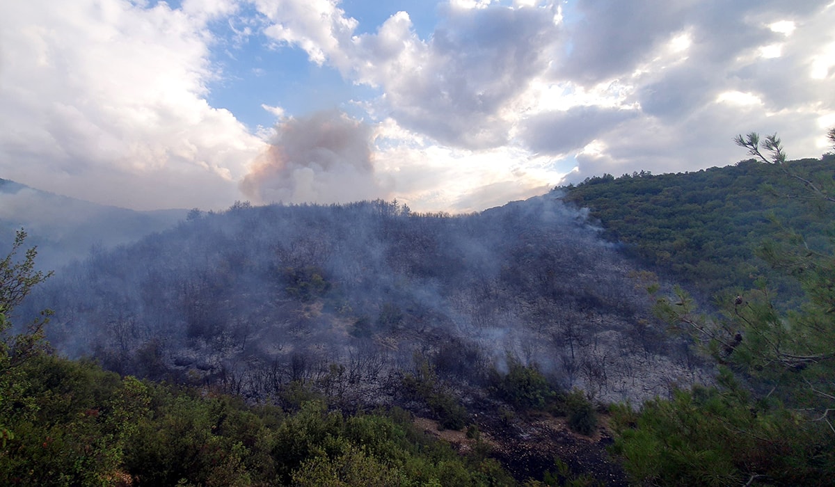 Tokat Erbaa'da orman yangını