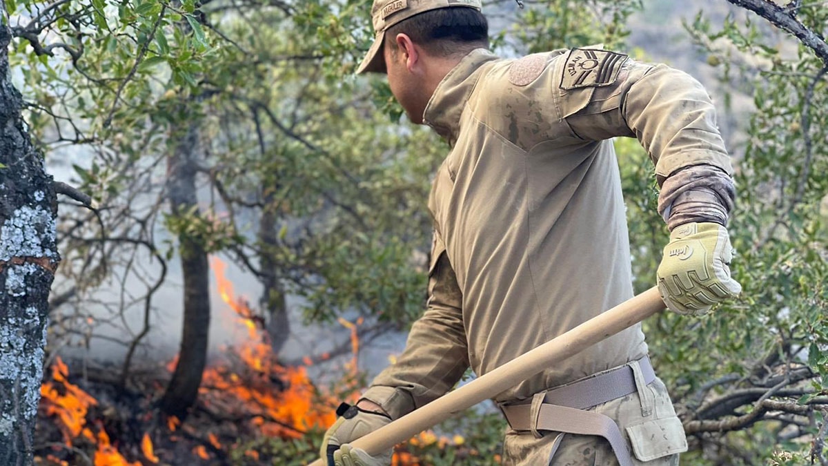 Tunceli'deki yangın 17 saatte söndürüldü