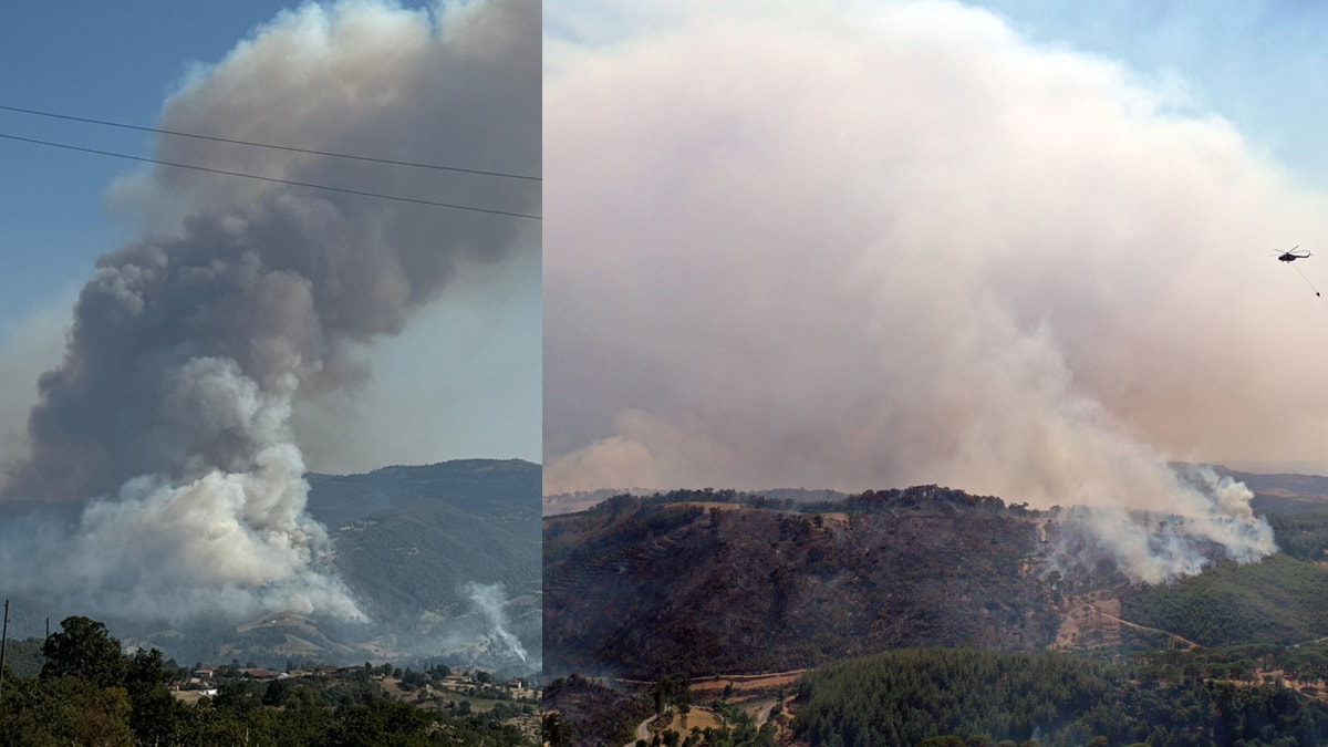 6 şehirde yangınlar devam ediyor