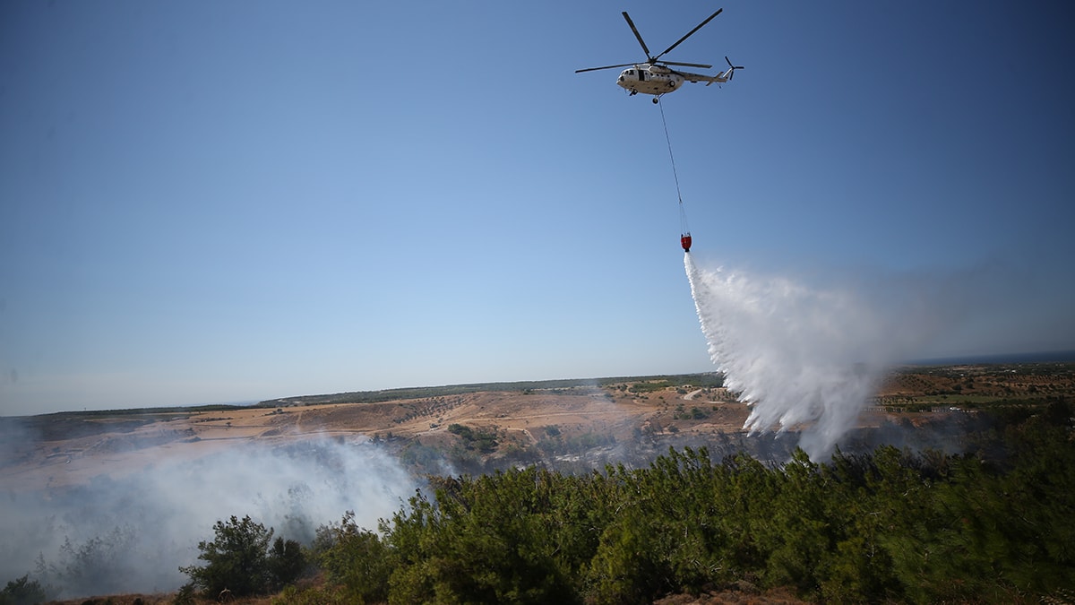 Bozcaada'da korkutan yangın