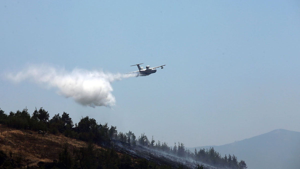 Aydın'daki yangında üç tutuklama